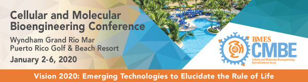 2020 Cellular and Molecular Bioengineering (CMBE) Conference