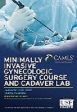 Minimally Invasive Gynecologic Surgery Course and Cadaver Lab 2020