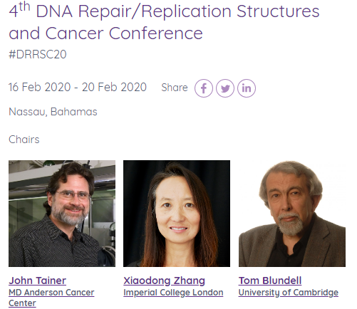 4th DNA Repair/Replication Structures and Cancer Conference