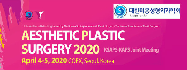 대한미용성형외과학회, The Korean Society for Aesthetic Plastic Surgery