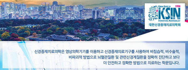 대한신경중재치료의학회, Korean Society of Interventional Neuroradiology
