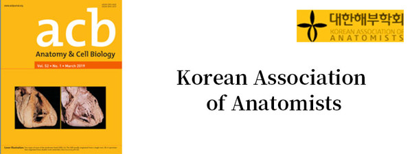 대한해부학회, Korean Association of Anatomists